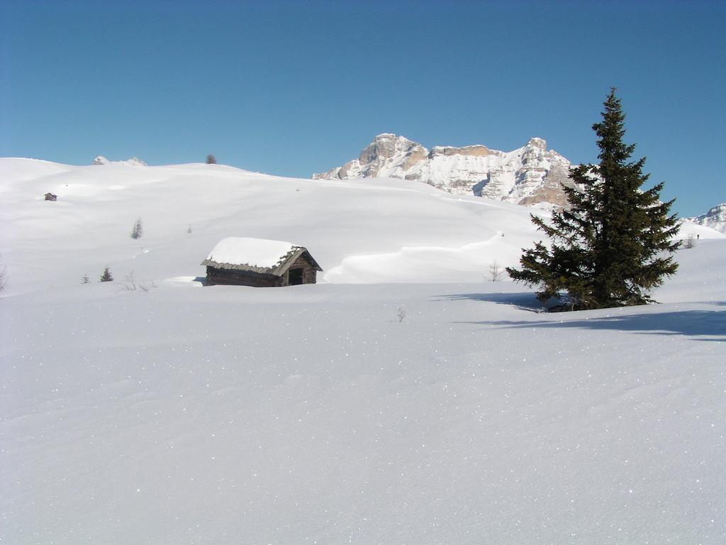 Apartments Residence Alta Badia Кольфоско Екстер'єр фото